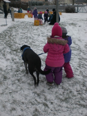 Ramses im Schnee (32)  